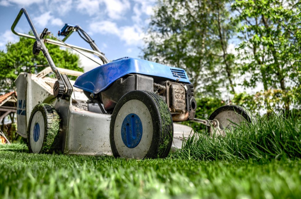 benefits of professional lawn care