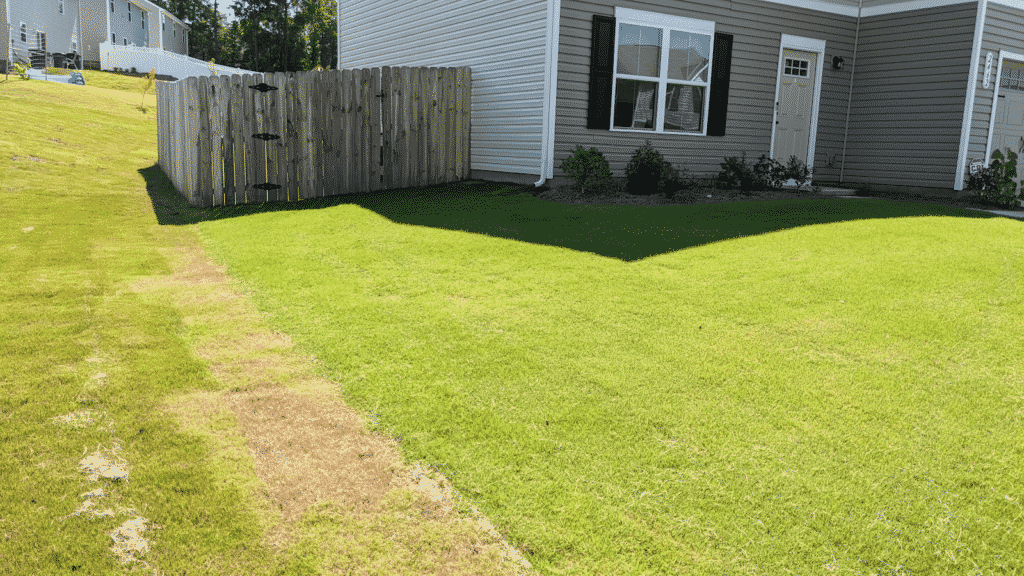 Lawn Overseeding
