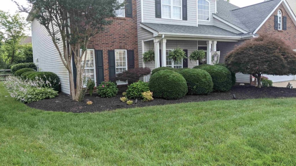 PXL 20210624 123459984.MP 1 1