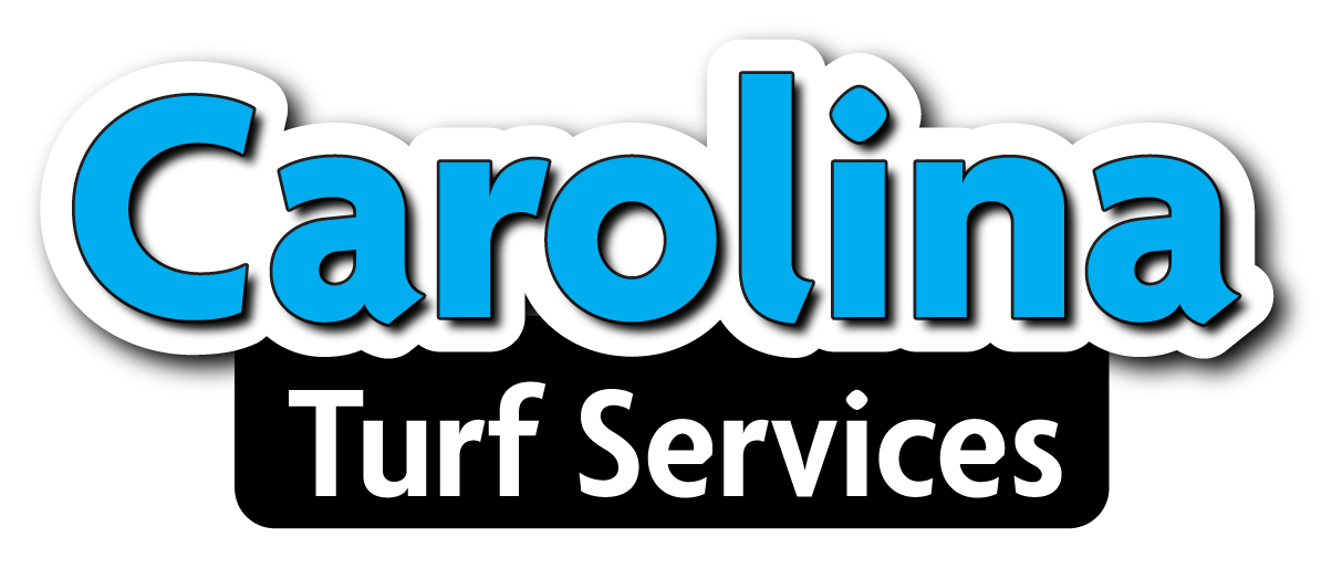 Best Lawn Weed Control In Concord Carolina Turf Services