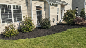 3f1b5157 016b 4b13 accc ce0870093fda