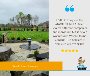 Carolina Turf Services best customer service in concord, NC.