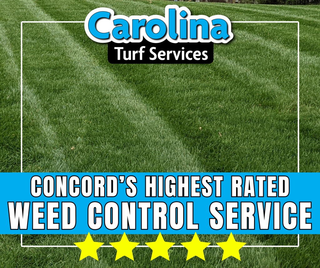 Carolina Turf Services 11 1
