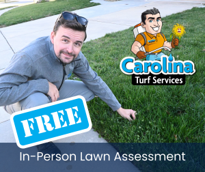Free in person lawn assessment. Concord, NC.