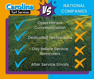 Carolina Turf Serivces vs competitors in Harrisburg NC
