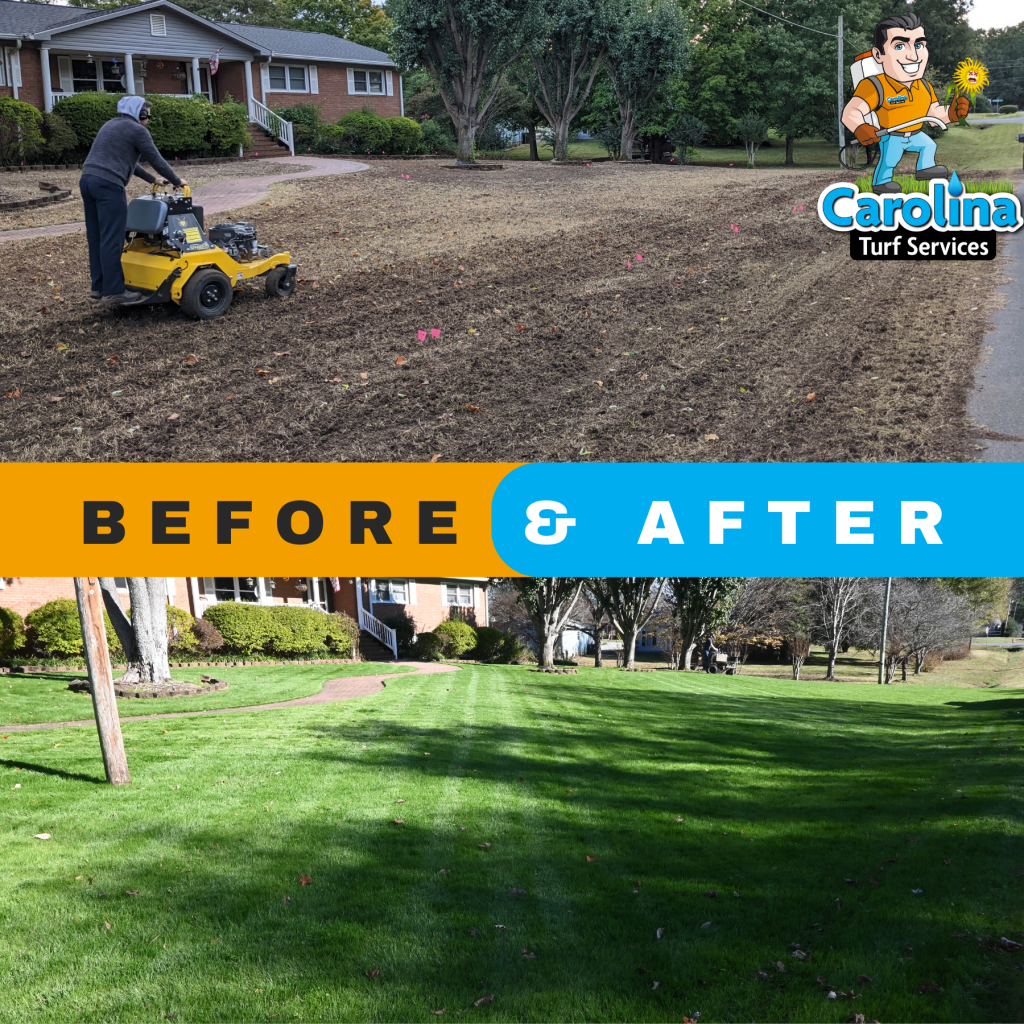 Facebook Still Image 1