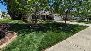 Benefits of Fungicide Treatments