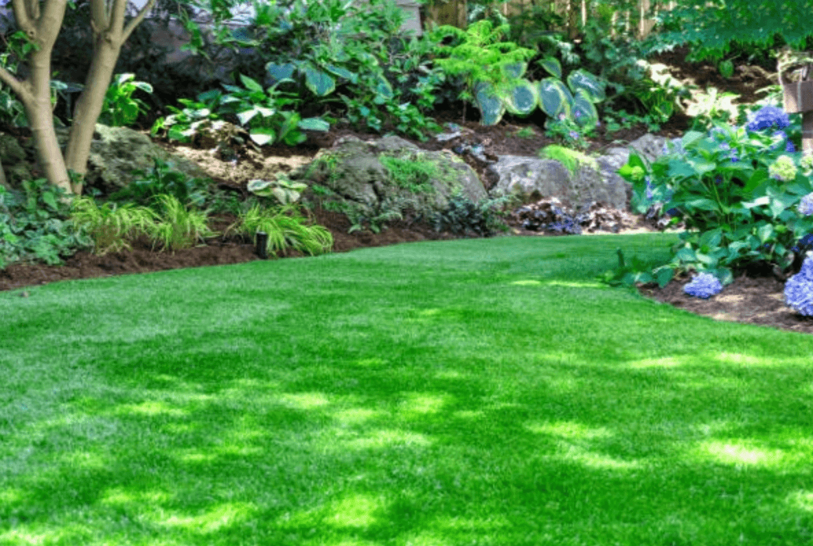 custom lawn care programs in concord