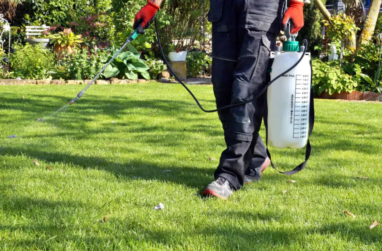 professional weed treatment