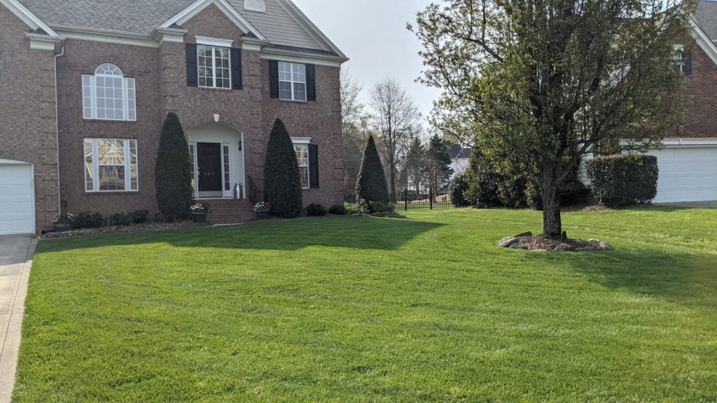 Lawn Soil Amendments
