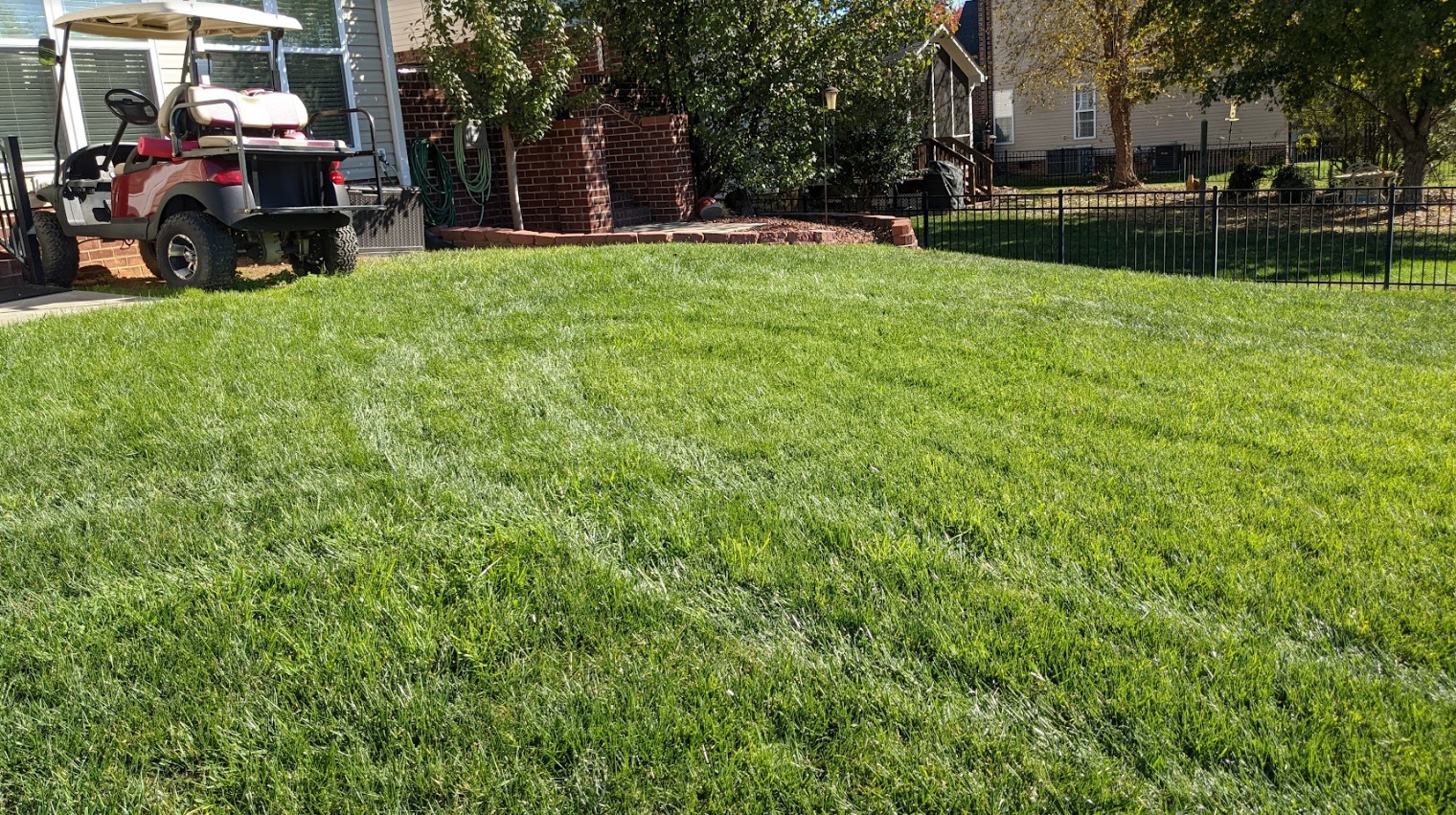 Lawn Aeration